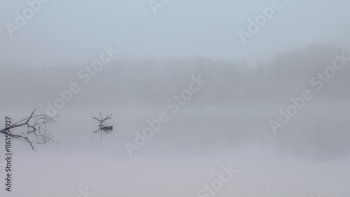 fog on the lake