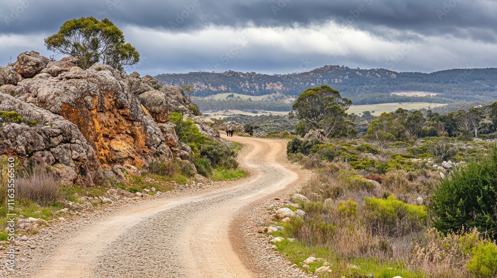 Serene Dirt Road Beside Rocky Outcrop in Bushland Serene Dirt Road Beside Rocky Outcrop in Bushland