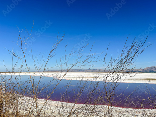 Alviso Marina County Park photo