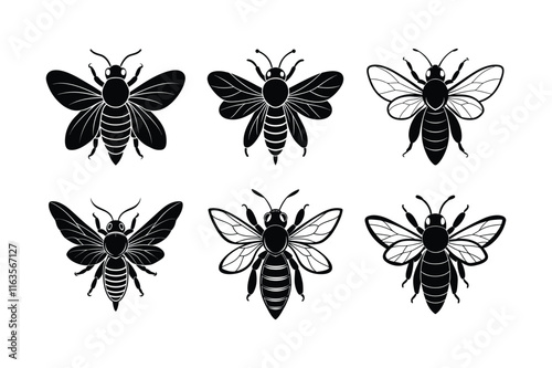 Carpenter Bee (Xylocopa) silhouette design, labeled linocut vector illustration.