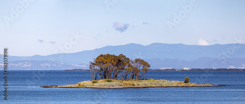 Panorama of a small island, covered with eucalyptus trees in Dunalley Bay, Tasmania. A large oyster farm can be seen in the background. Oyster farming is sustainable and low impact to the environment photo