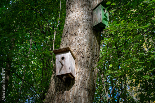 a bird nesting box hanging on a tree