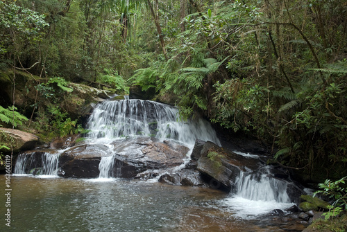 rivière, forêt primaire tropicale, Parc National Andasibé Mantadia, Madagascar