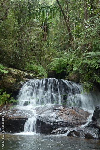 rivière, forêt primaire tropicale, Parc National Andasibé Mantadia, Madagascar