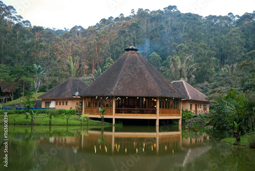 Vakona forest lodge, forêt primaire tropicale, Parc National Andasibé Mantadia, Madagascar photo