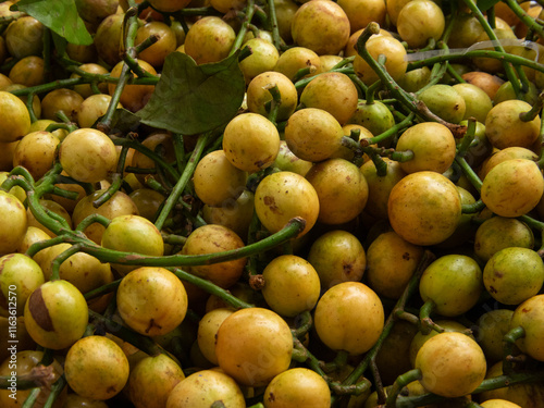 Menteng fruit or Baccaurea racemosa (Reinw.) Muell. Arg is a tropical fruit with a sour taste. photo