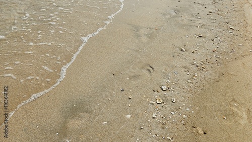 Sea water wave and sand beach with seashell background for decoration on summer holiday and coastal concept. photo