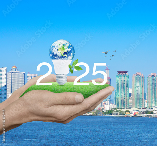 Fototapeta Naklejka Na Ścianę i Meble -  2025 and earth globe inside led light bulb with fresh leaves on green grass in hands over city tower and river, Happy new year 2025 green ecology concept, Elements of this image furnished by NASA