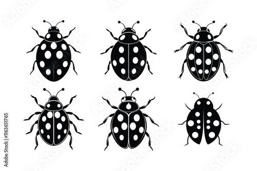 Ladybug (Coccinellidae) silhouette design, labeled linocut vector illustration.