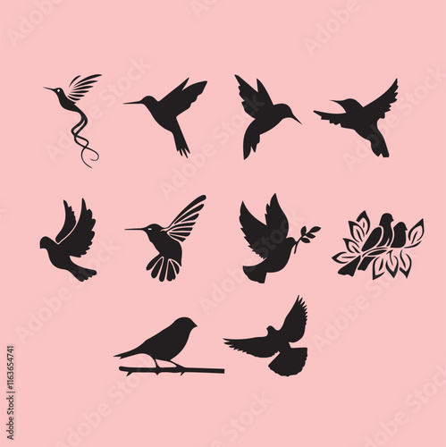 Silhouettes of different bird species that showcase their unique shapes and movements