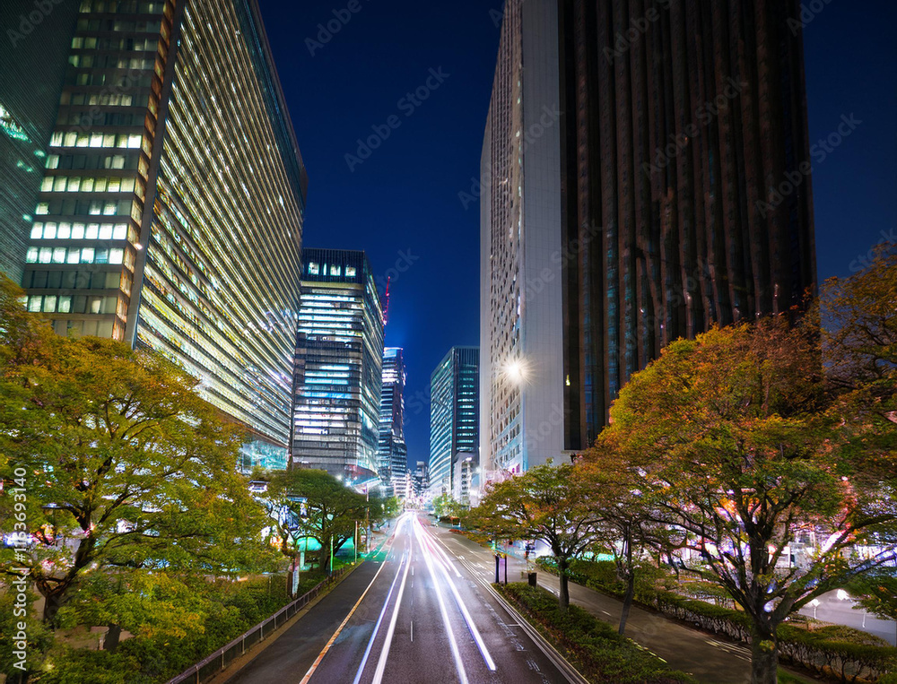 Obraz premium 都会の夜景