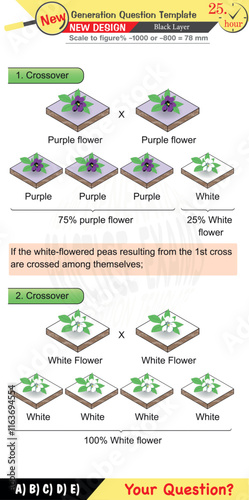 Biology, Biological concepts, High school, middle school, exam question template, numerical lessons, verbal lessons, Next generation problems,for teachers, editable