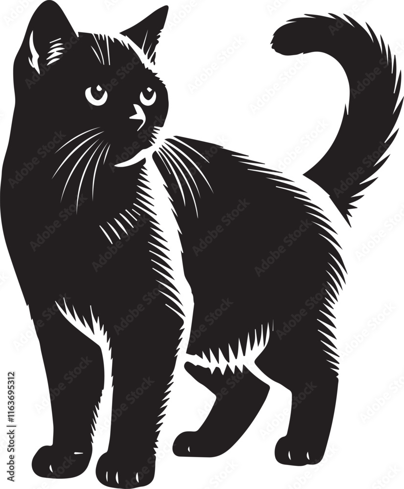Obraz premium Black cat