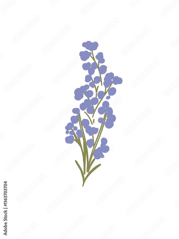 Fototapeta premium Delicate wildflower vector illustration