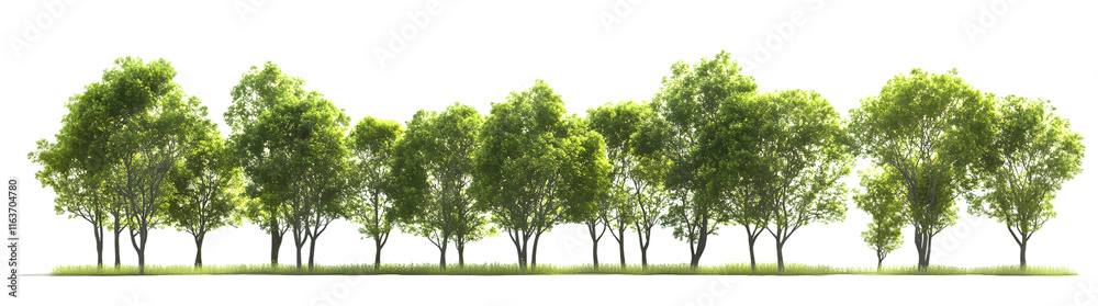 Obraz premium Lush Green Trees in a Row - Ideal for Nature and Landscape Themes