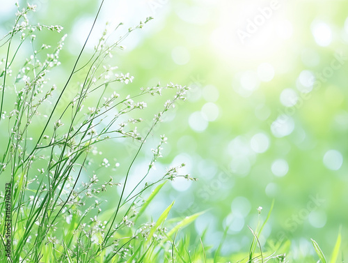 Spring background blur,holiday wallpaper photo