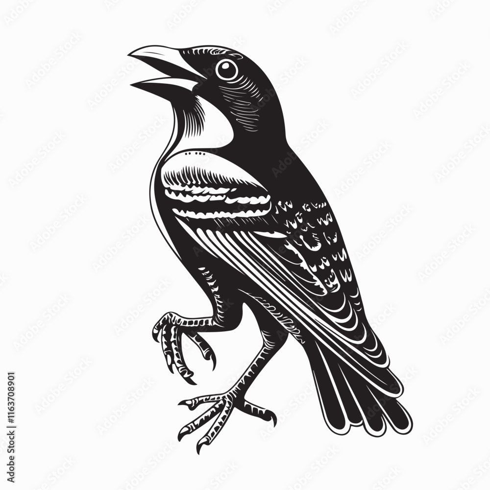 Obraz premium Bowerbird Image Vector. Black and white Bowerbird Stock Illustration on white background.