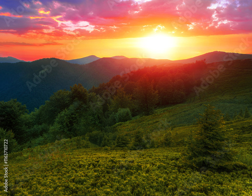 summer nature scenery, scenic sunset view in the mountains, Carpathian mountains, Ukraine, Europe	