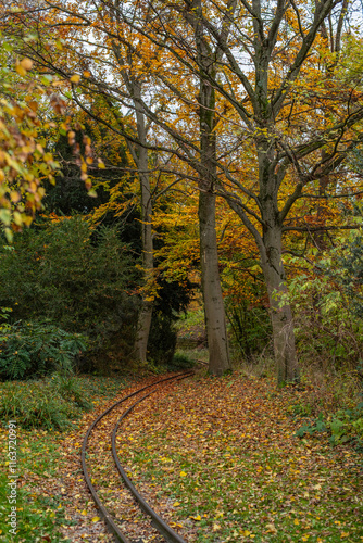 Autumn scene in Höhenpark Killesberg in Stuttgart, Germany. A narrow, curving pathway lined with small railway tracks winds through a forested area.  photo