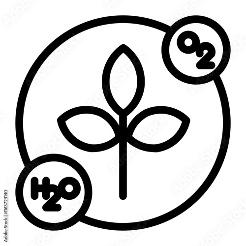 the result of photosynthesis line icon