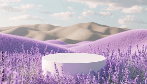 Serene Lavender Field Product Display:  A pristine white cylinder podium stands majestically amidst a picturesque field of purple lavender, bathed in soft sunlight. photo