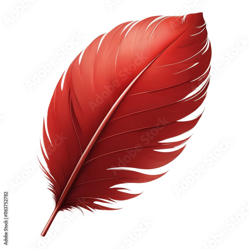 red feather isolated on white
