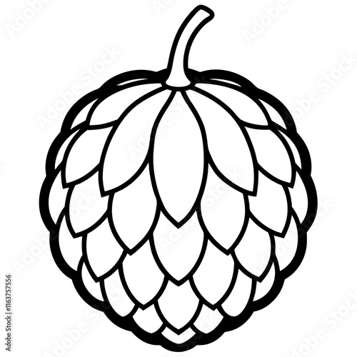 Artistic Balsam Apple Vector