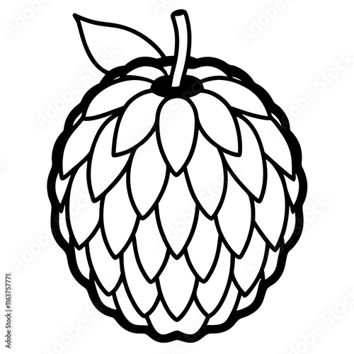 Artistic Balsam Apple Vector