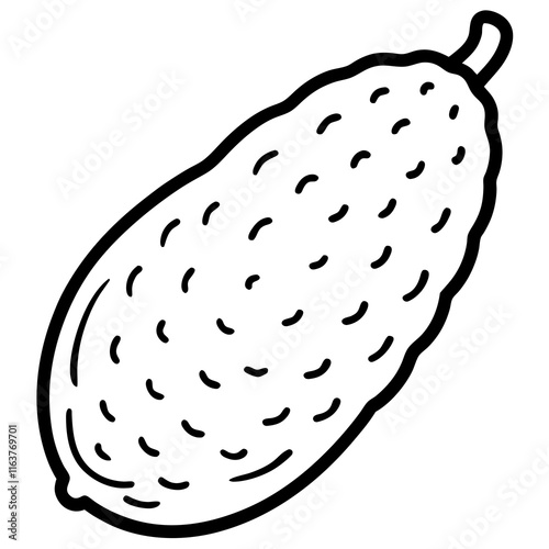 Finger Lime in Vector Style