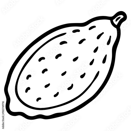 Finger Lime in Vector Style