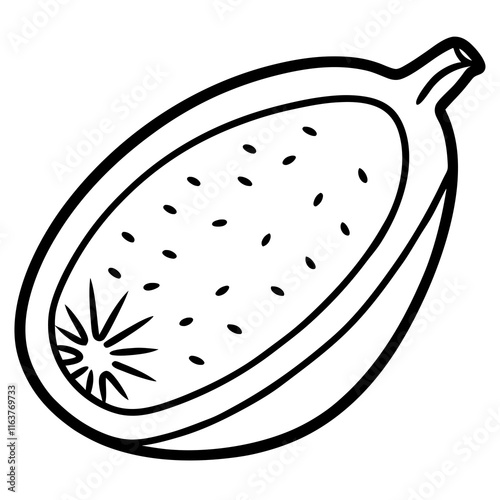 Finger Lime in Vector Style