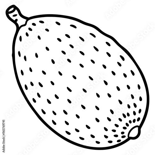 Finger Lime in Vector Style