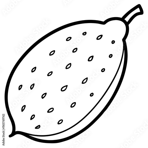 Finger Lime in Vector Style