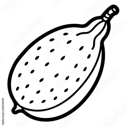 Finger Lime in Vector Style