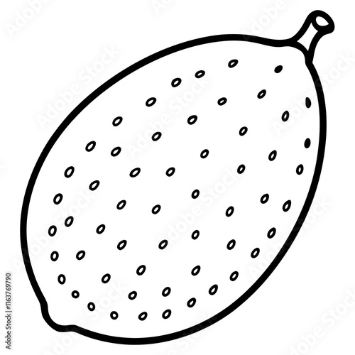 Finger Lime in Vector Style