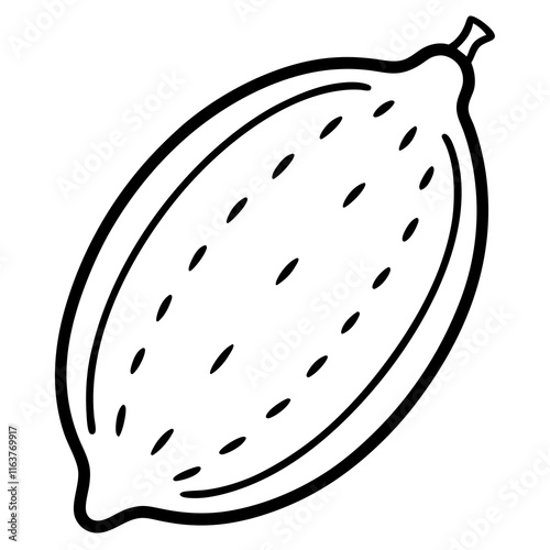 Finger Lime in Vector Style