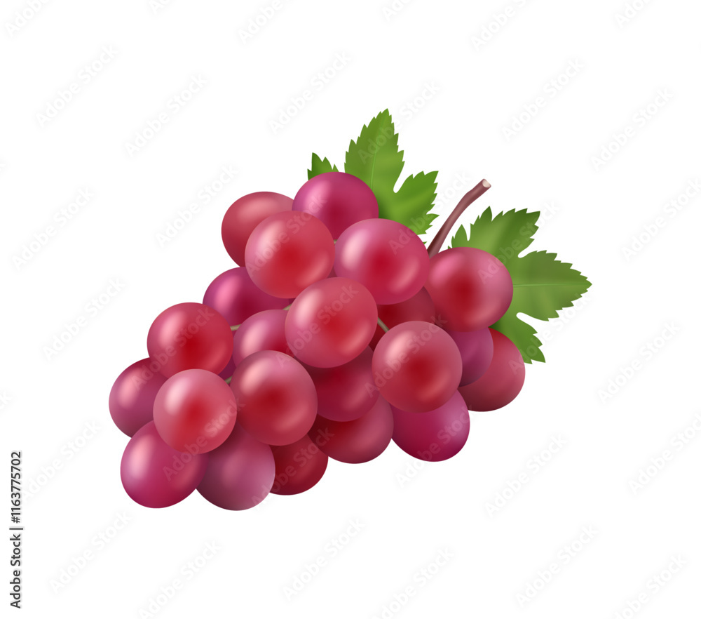 Bunch of grape berries with green leaves realistic vector illustration. Pink grapes healthy vegetarian food, organic winery product, exotic summer grape branch Bunch of grape berries with green leaves realistic vector illustration. Pink grapes healthy vegetarian food, organic winery product, exotic summer grape branch