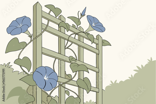 Morning Glory Vine: Climbing Morning Glories on Trellis Vector Illustration on White Background