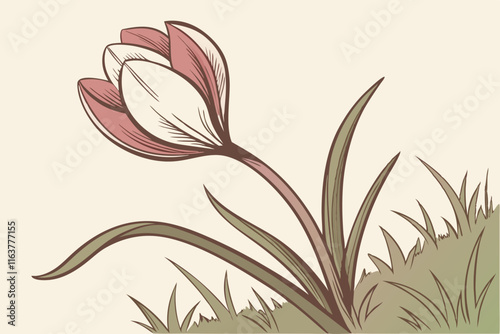 Single Bloom: Solitary Rose or Tulip Flower Vector Illustration on White Background