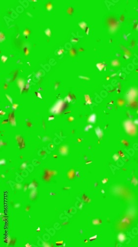 Golden Confetti Celebration Overlay Element Falling Burst Vertical Video Green Screen Background Effect