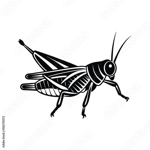 Grasshopper (Caelifera) insect silhouette design, labeled linocut vector illustration.