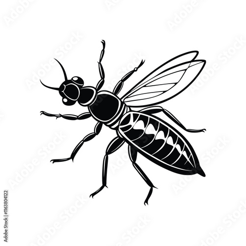 Termite (Isoptera) insect silhouette design, labeled linocut vector illustration.