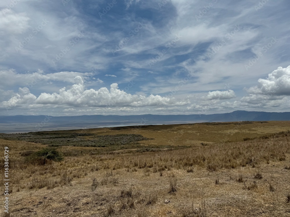 landscape with impressive dramatic clouds in the landscape of the ngorongoro crater tanzania safari, savannah steppe grass safari wildlife landscape with impressive dramatic clouds in the landscape of the ngorongoro crater tanzania safari, savannah steppe grass safari wildlife