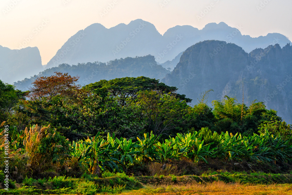 Obraz premium Panorama of karst mountains with mist at sunrise, Vang Vieng, Vientiane Province, Laos, Asia