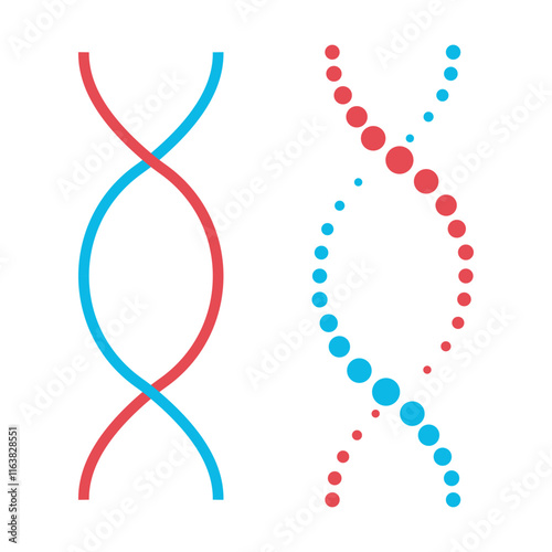 DNA structure vector