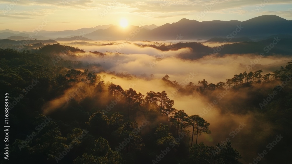 Sunrise Over Misty Mountain Landscape With Trees and Rolling Hills in the Early Morning Sunrise Over Misty Mountain Landscape With Trees and Rolling Hills in the Early Morning