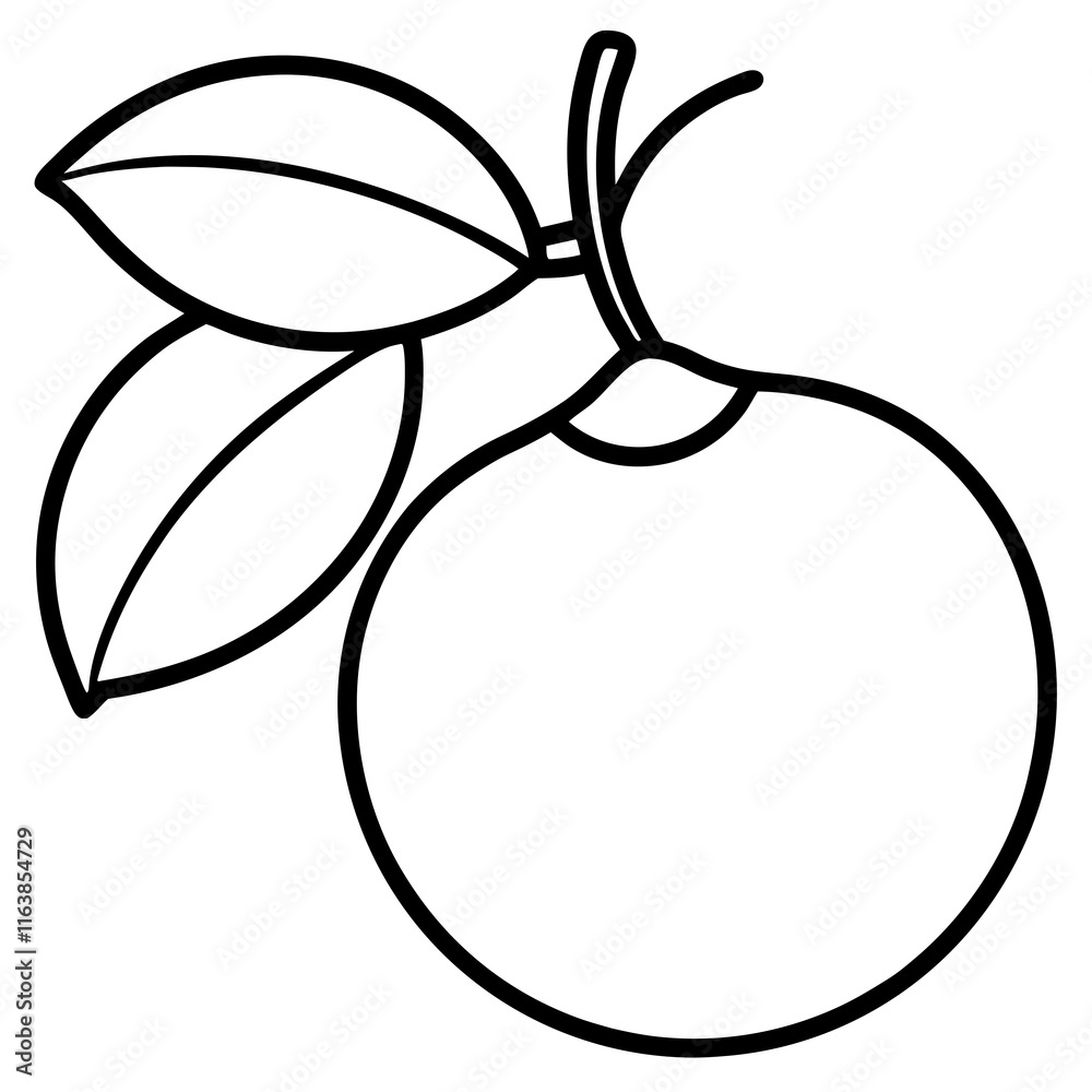 Minimalist Kumquat Vector Design Minimalist Kumquat Vector Design