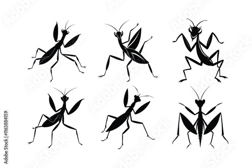 Praying Mantis (Mantodea) insect silhouette design, labeled linocut vector illustration.