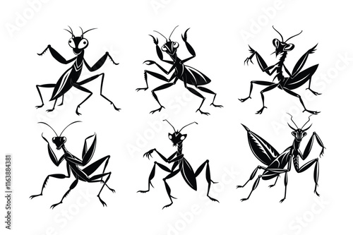 Praying Mantis (Mantodea) insect silhouette design, labeled linocut vector illustration.