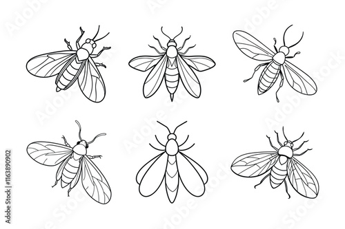 Firefly (Lampyridae) insect silhouette design, labeled line art vector illustration.